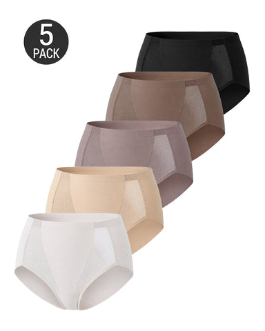 5-Pack Seamless Ice Silk See-Through Mesh Panties