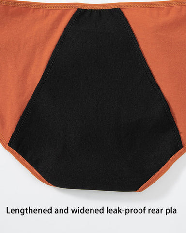 5-Pack Absorbent Leak-Protection Period Panties