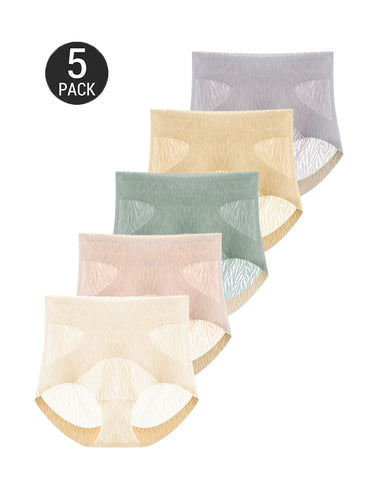 5-Pack High-Waist Stretch Cotton Comfort Panties