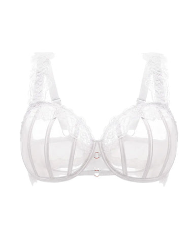 Sexy Lace See-Through Mesh Push-Up Bra
