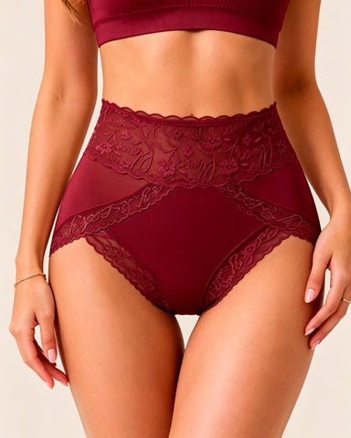 High Waisted Sheer Lace-trim Briefs