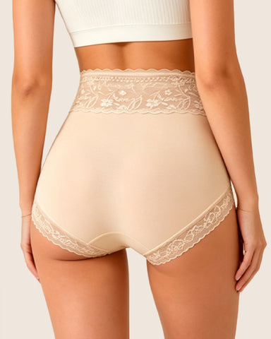 High Waisted Sheer Lace-trim Briefs